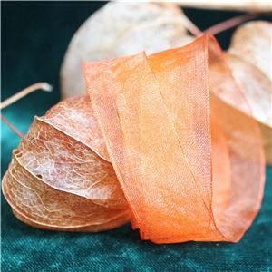 Halloween Ribbon - 15mm Sheer orange